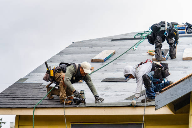 Professional Roof Replacement technician working in Justice, IL